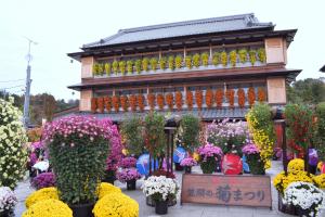 かさま歴史交流館井筒屋（つつじまつり）